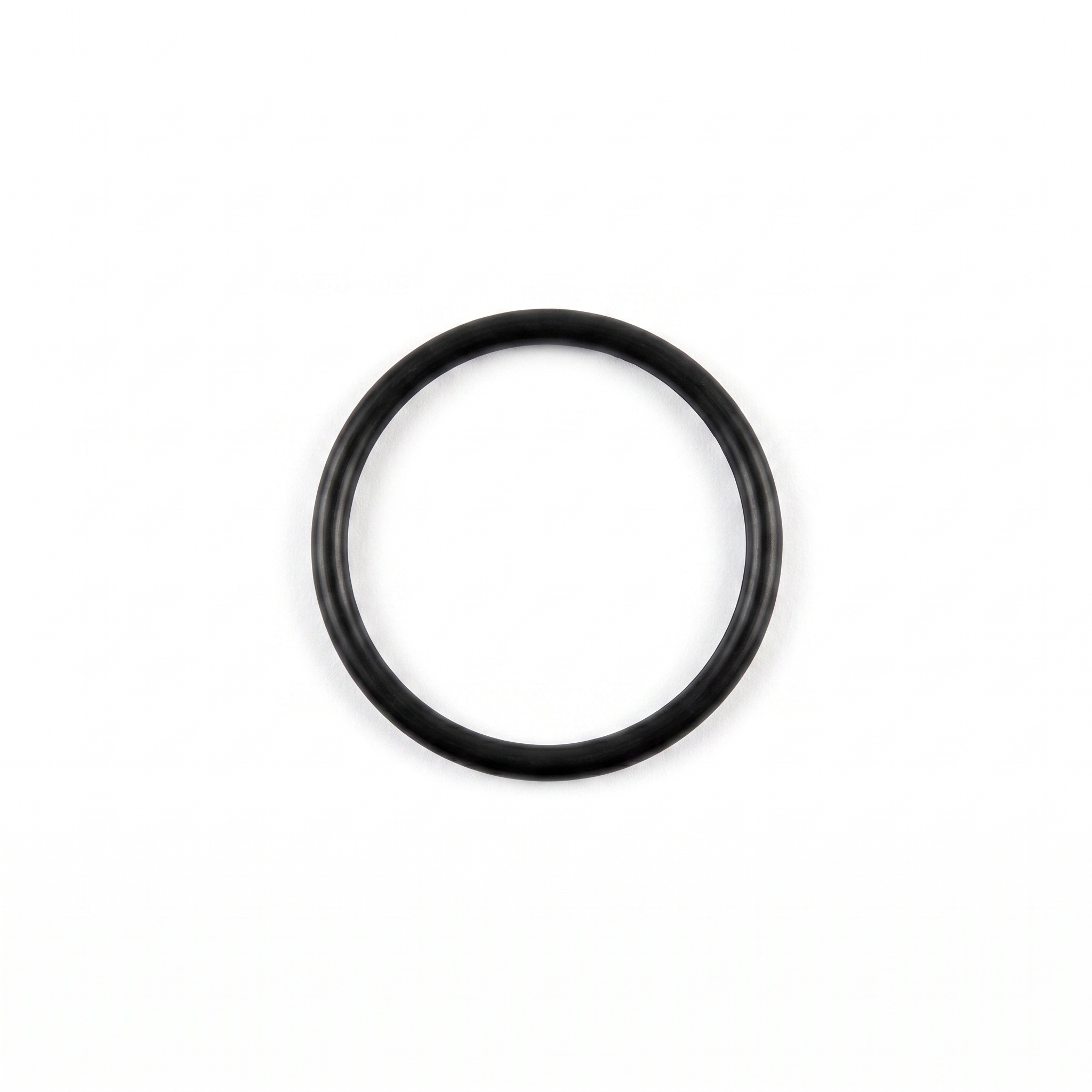 Bystronic lens O-ring