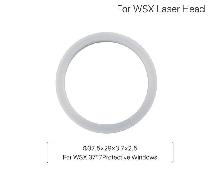 WSX Seal Ring (2)